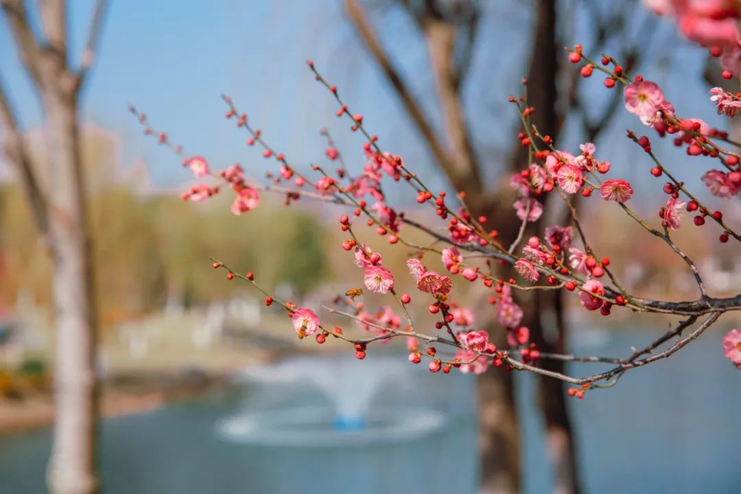 1678171276134171.jpg 微信图片_20230307143857.jpg