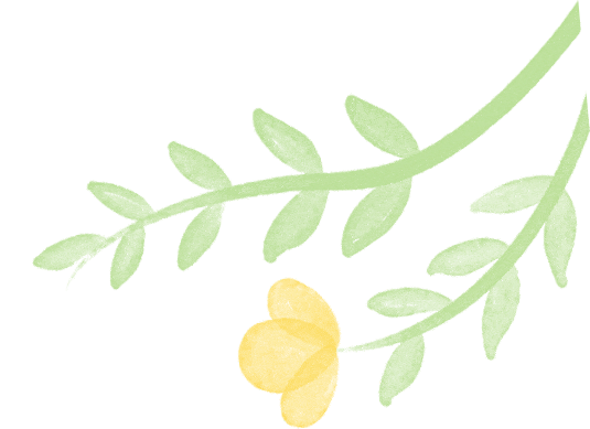 1739931089598802.gif 640 (9).gif