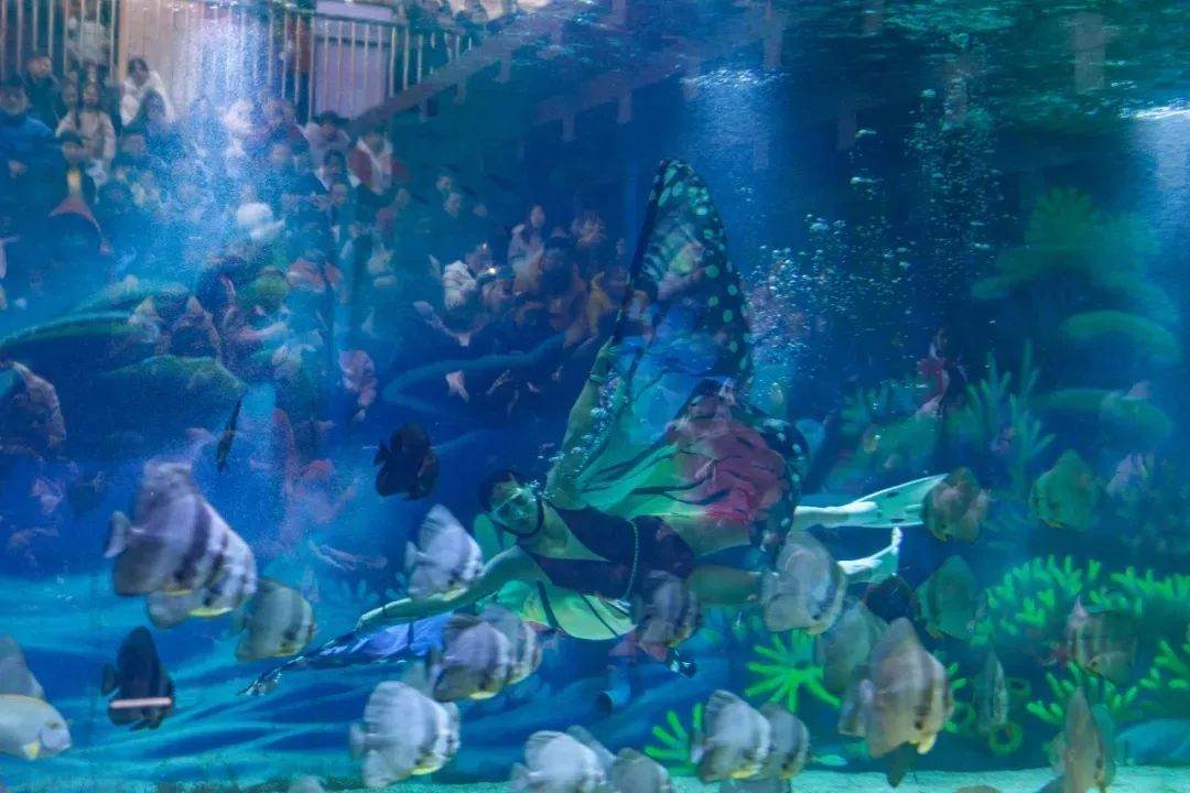 1742352384102172.jpg 640 (43).jpg