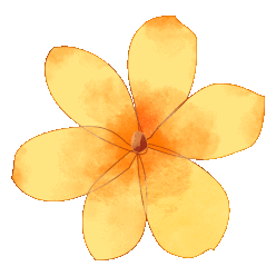 1742352810388155.gif 640 (10).gif